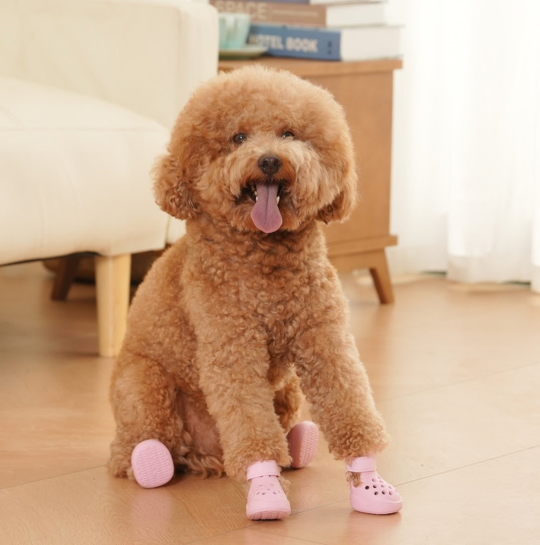 PawPosh Dog Crocs