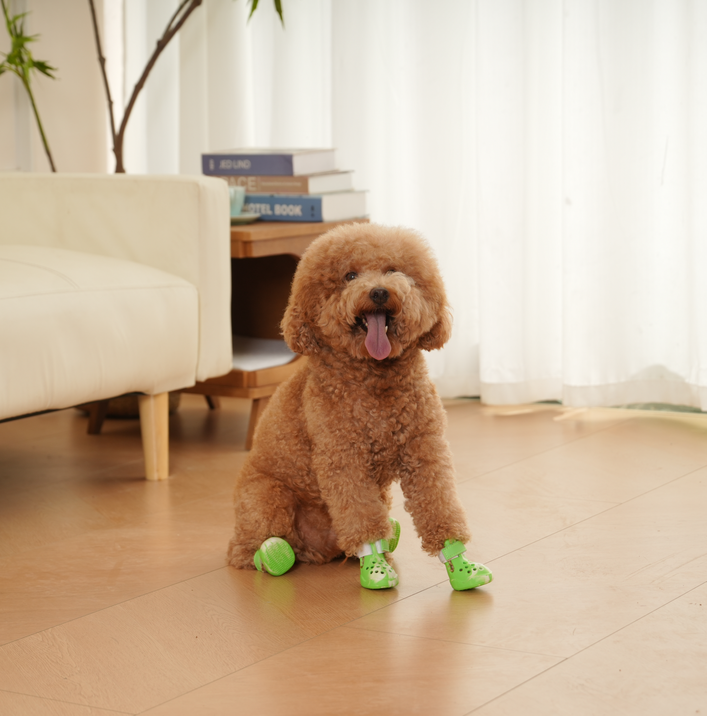 PawPosh Dog Crocs