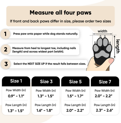 Breathable Dog Sandals (Set of 4)
